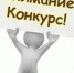 Конкурс ваятелей из снега - Асекеевский район