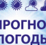 Ежедневный оперативный прогноз погоды на 12.12.2025 г. - Асекеевский район