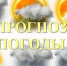 Оперативный ежедневный прогноз  на 05.01.2026г. - Асекеевский район