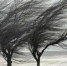 Экстренное предупреждение . - Асекеевский район